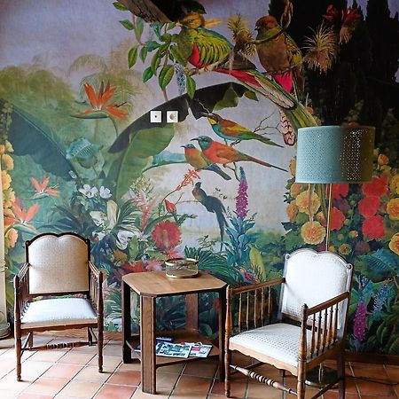 Clos Baroanni - Studio La Voliere Terraube Extérieur photo